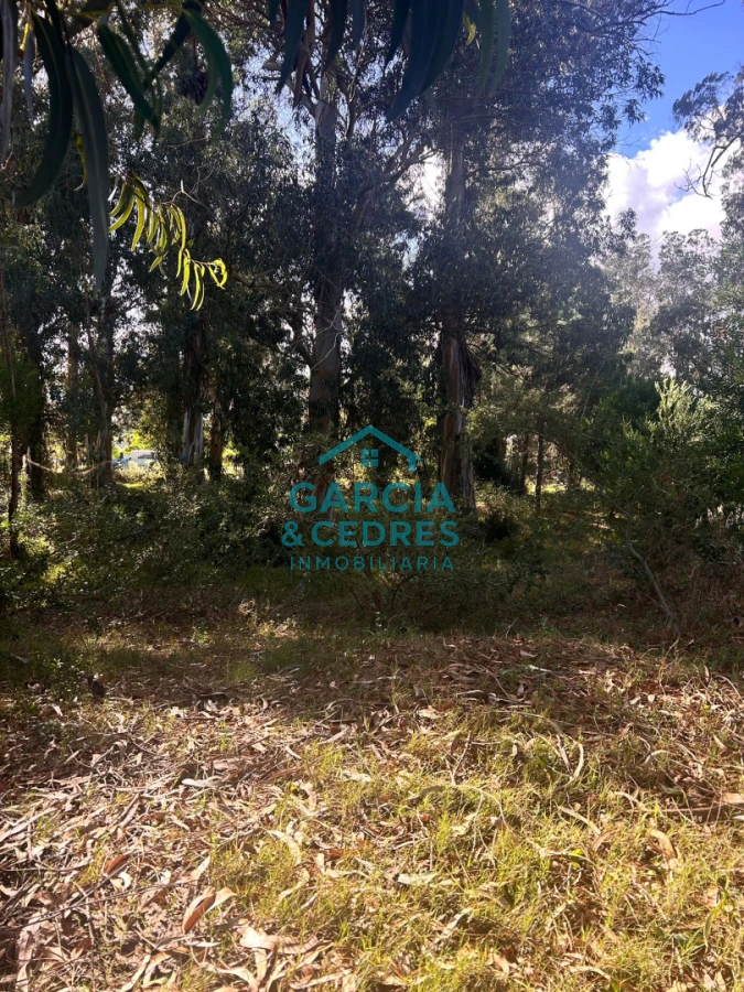 Terreno ID.293 - terreno en venta en Beverlly Hills 