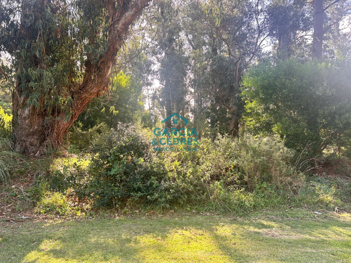 Terreno ID.293 - terreno en venta en Beverlly Hills 