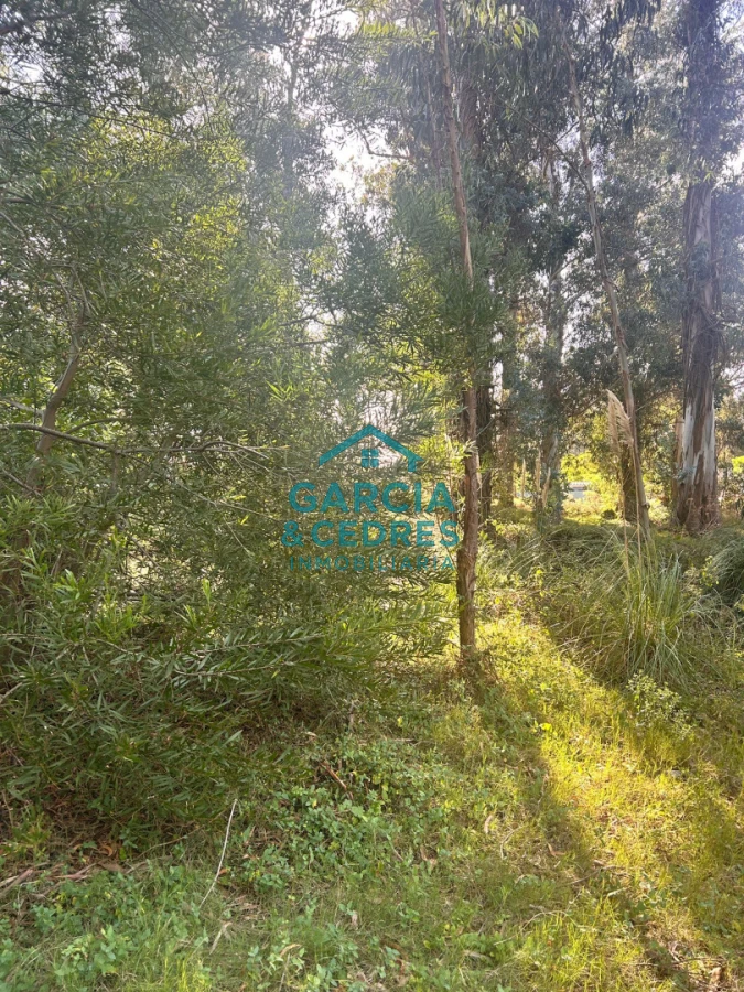 Terreno ID.293 - terreno en venta en Beverlly Hills 