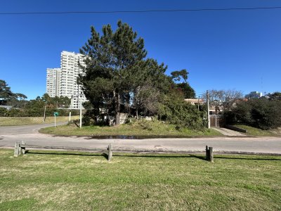 Terreno esquinero de 744 m2 con construcción de 87m2.  Frente Avenida Jose Gervasio Artigas
