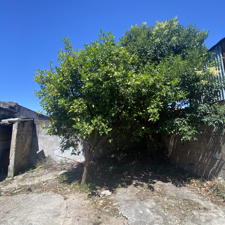 Casa ID.1197/Venta-Casa-2-Dormitorios-Paso-Molino-Montevideo-F - Venta Casa 2 Dormitorios Paso Molino Montevideo F