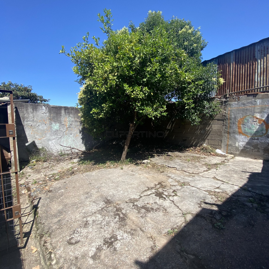 Casa en Montevideo, Paso Molino — foto 23