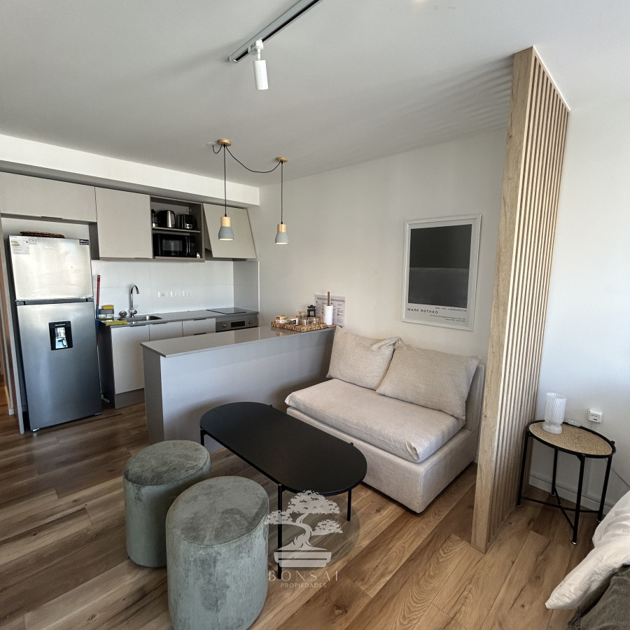 Apartamento ID.469 - Alquiler Apartamento Monoambiente amueblado Cordón Montevideo lr 