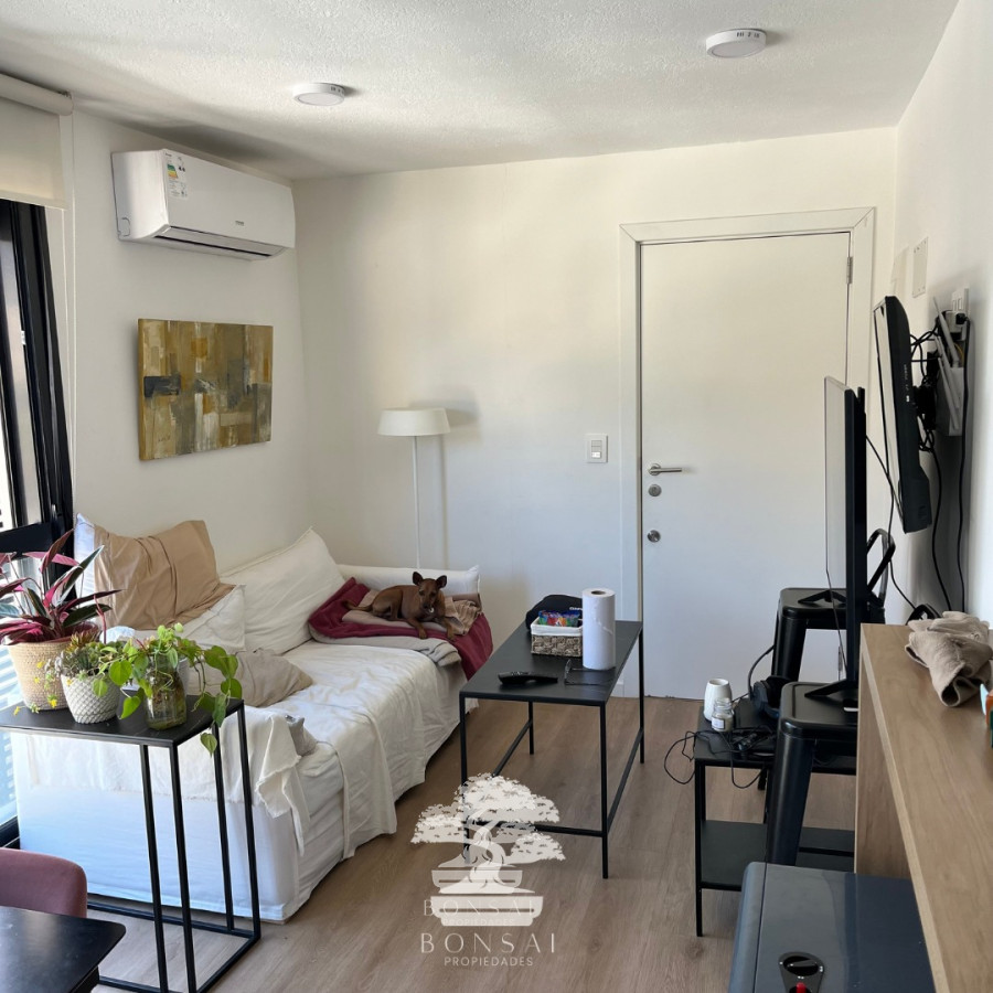 Apartamento ID.56 - Alquiler Apartamento 1 Dormitorio Punta Carretas Montevideo Amoblado M 