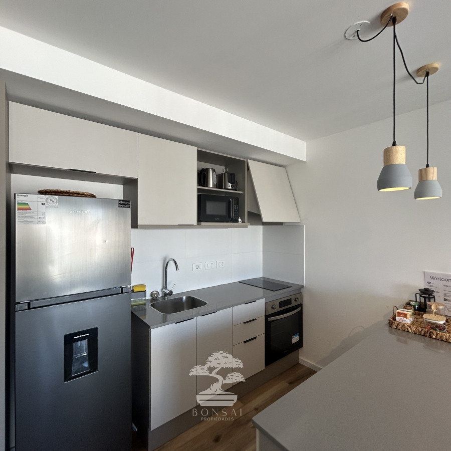 Apartamento ID.469 - Alquiler Apartamento Monoambiente amueblado Cordón Montevideo lr 