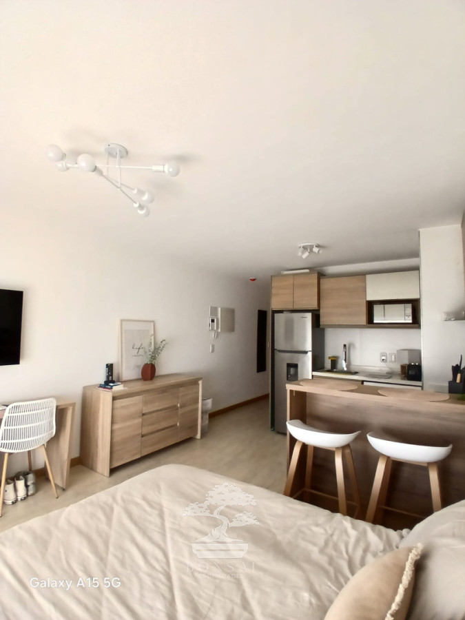 Apartamento ID.1095 - Alquiler Monoambiente Punta Carretas Montevideo S