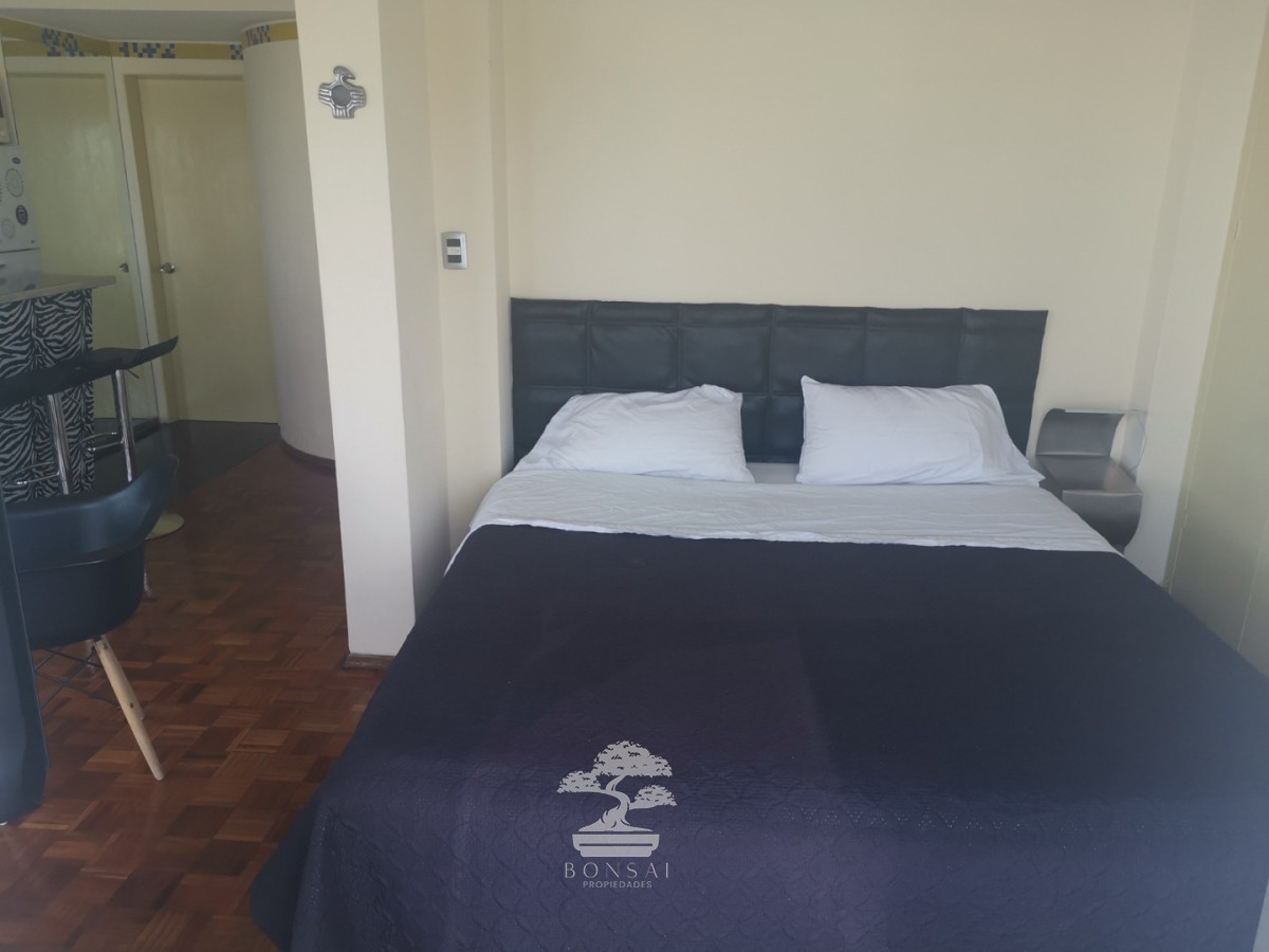 Apartamento ID.1069 - Alquiler Monoambiente Pocitos Montevideo S