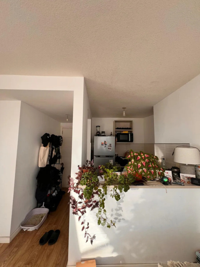 Apartamento ID.854 - Alquiler, Apartamento, 1 dormitorios, Cordon, Montevideo S