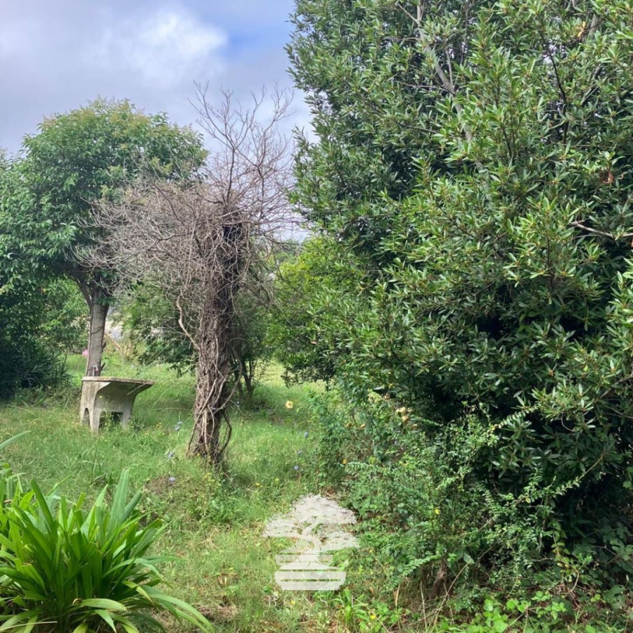 Casa ID.114 - Venta Casa A Reciclar Florida Mp