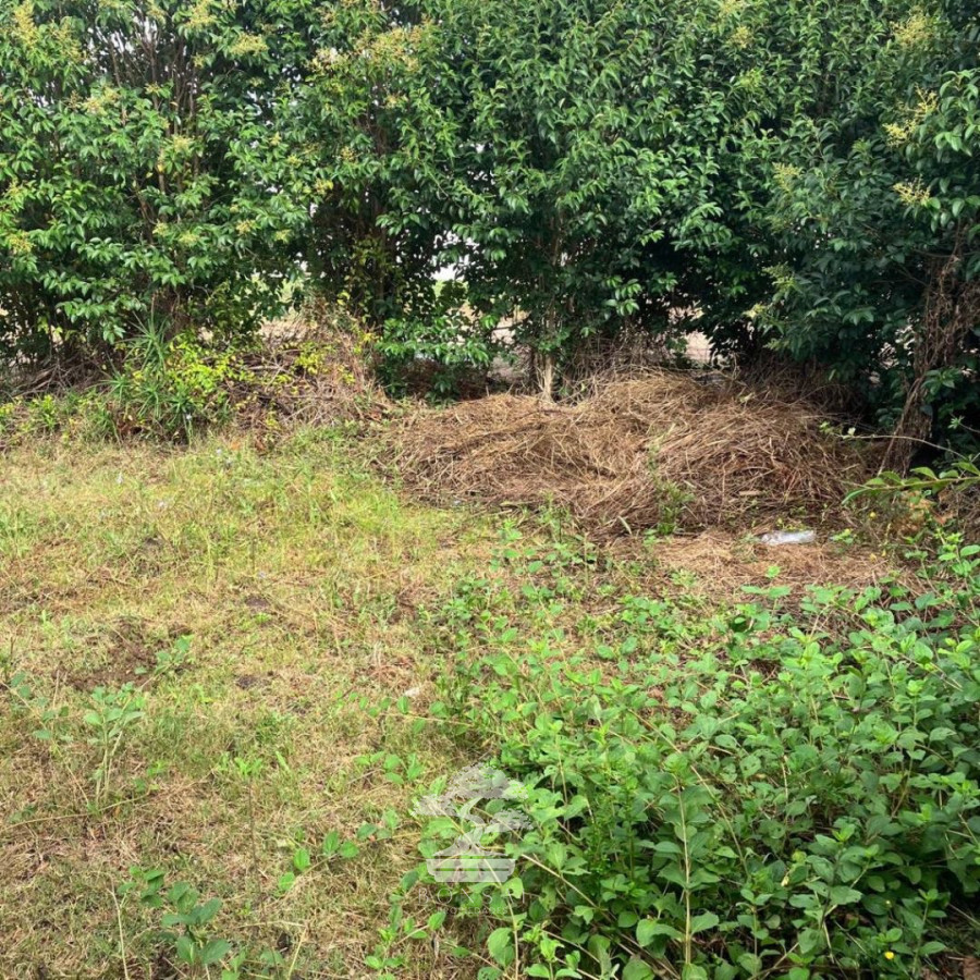 Casa ID.114 - Venta Casa A Reciclar Florida Mp