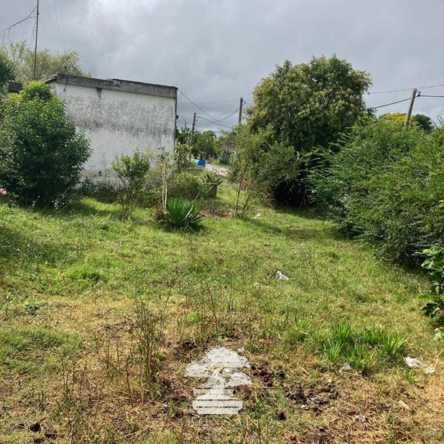 Casa ID.114 - Venta Casa A Reciclar Florida Mp