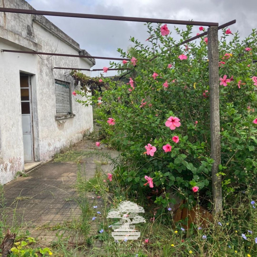 Casa ID.114 - Venta Casa A Reciclar Florida Mp