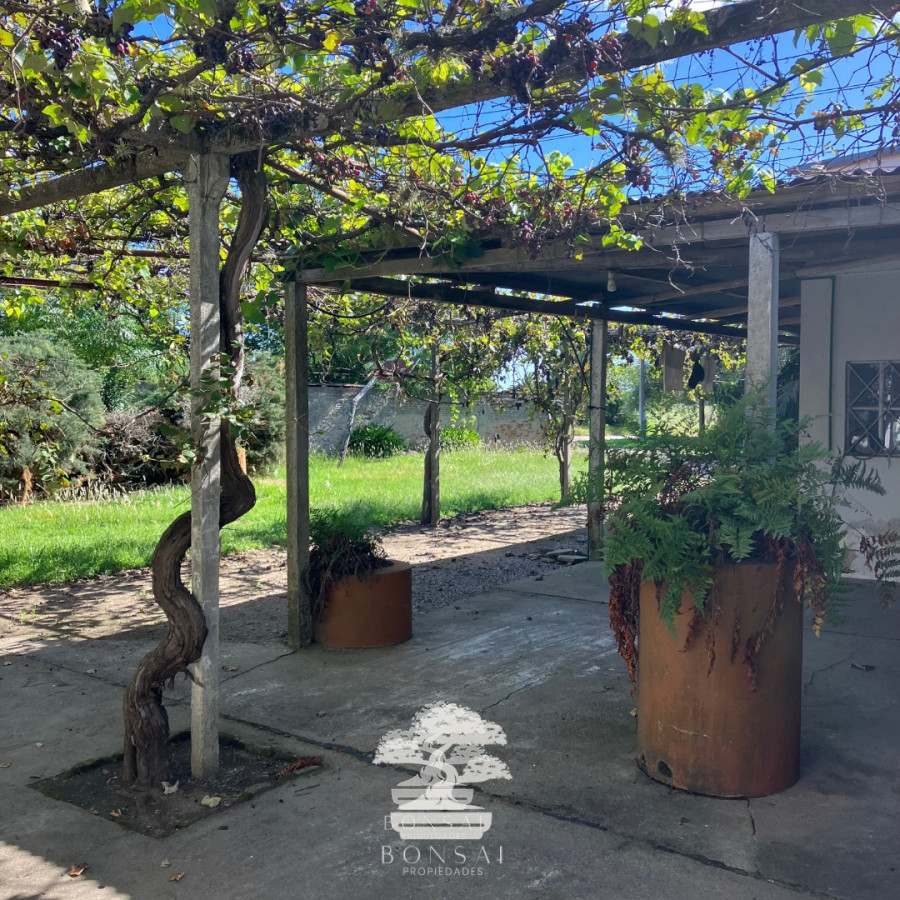 Casa ID.117 - Venta De Casa Con Galpones Y Amplio Terreno Mendoza Florida Mp