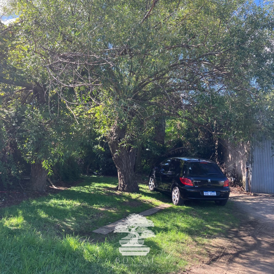 Casa ID.117 - Venta De Casa Con Galpones Y Amplio Terreno Mendoza Florida Mp