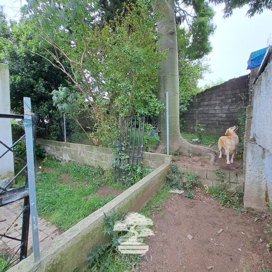 Casa ID.217 - Venta Casa 3 Dormitorios + Casa 1 Dormitorio Jardines Del Hipódromo Montevideo B