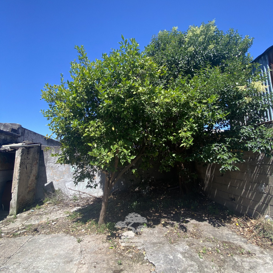 Casa ID.228 - Venta Casa 2 Dormitorios Paso Molino Montevideo F