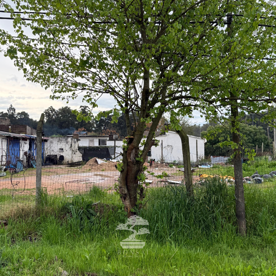 Casa ID.784 - Venta Terrenos con construcciones Canelones C