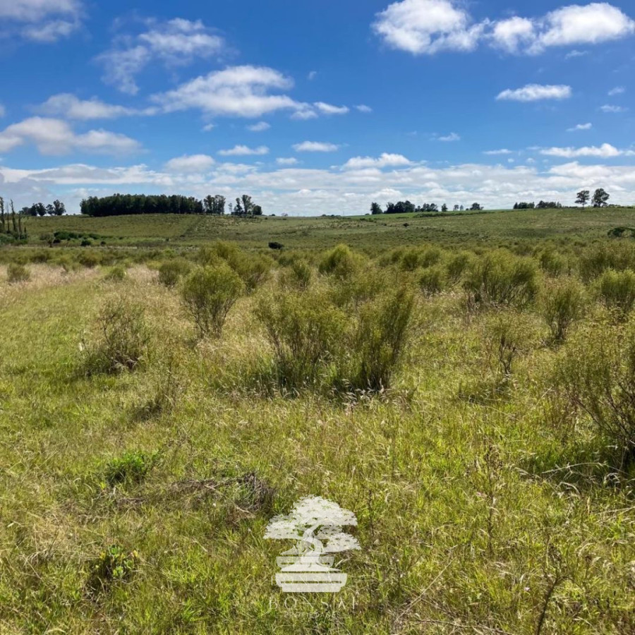 Chacra ID.123 - 