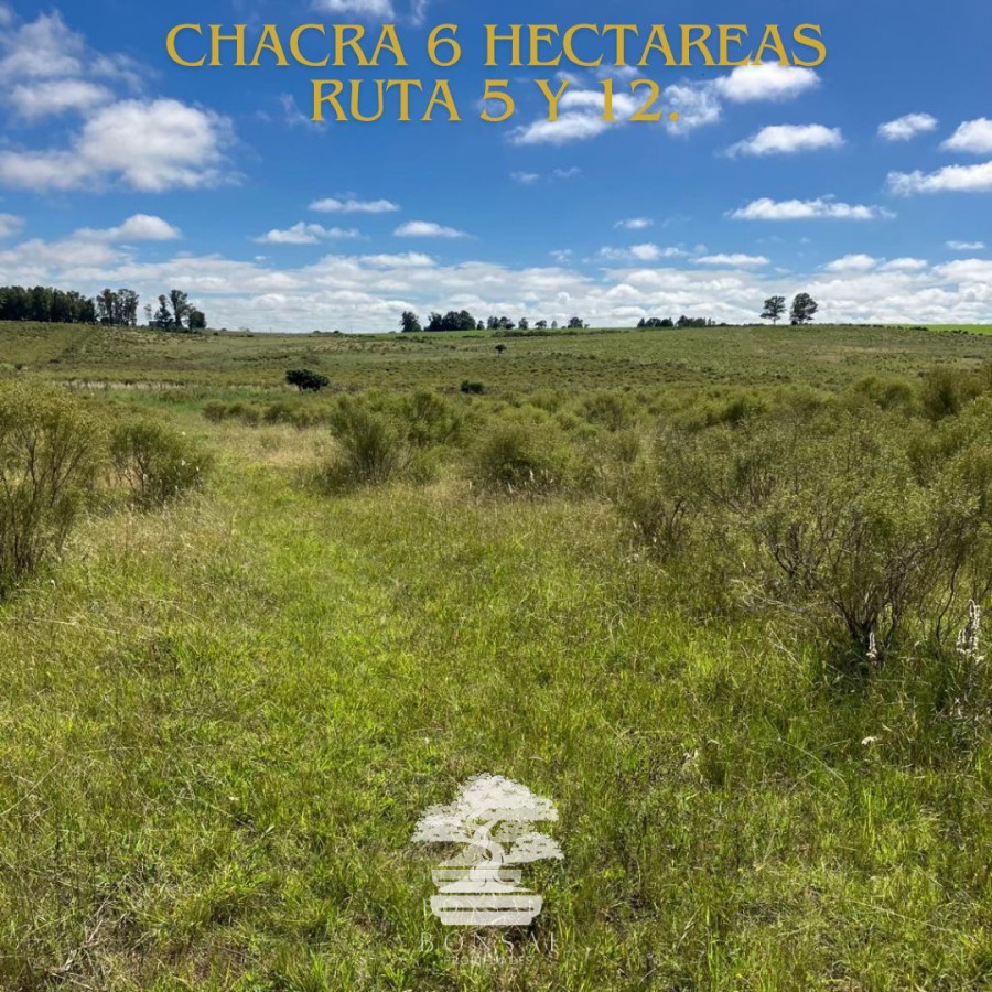 Chacra ID.127 - 