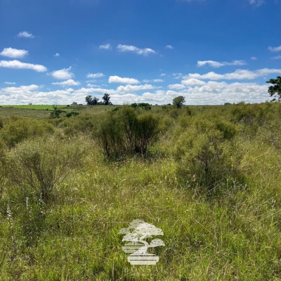 Chacra ID.127 - 