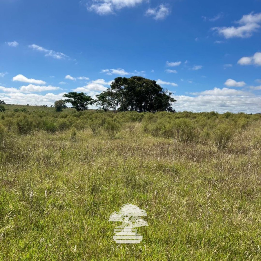 Chacra ID.127 - 