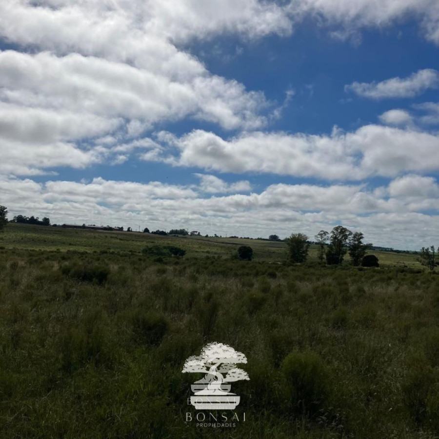 Chacra ID.127 - 