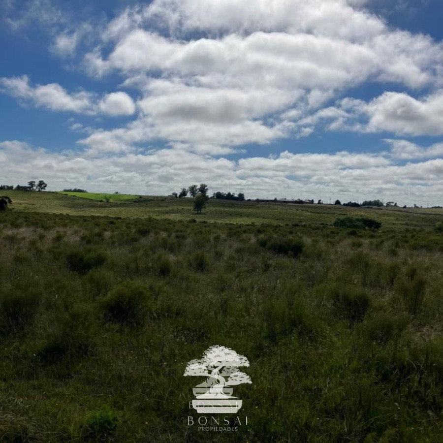 Chacra ID.127 - 