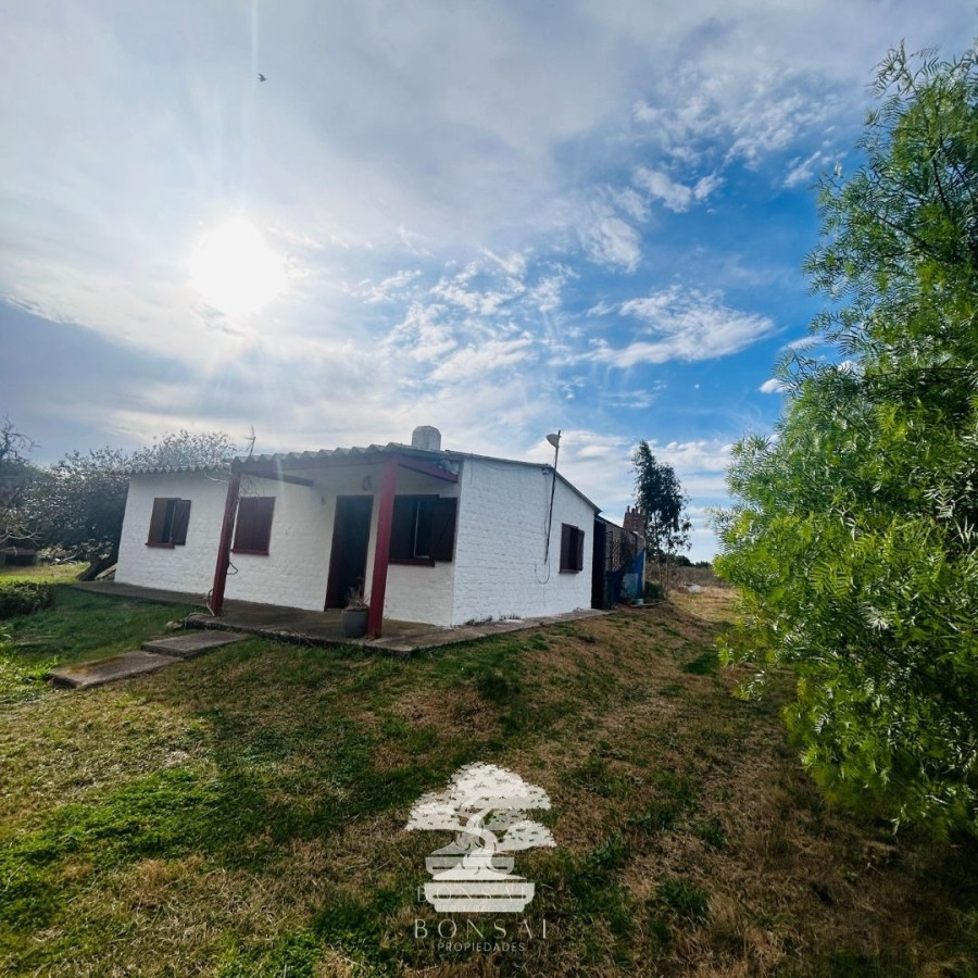 Chacra ID.193 - 