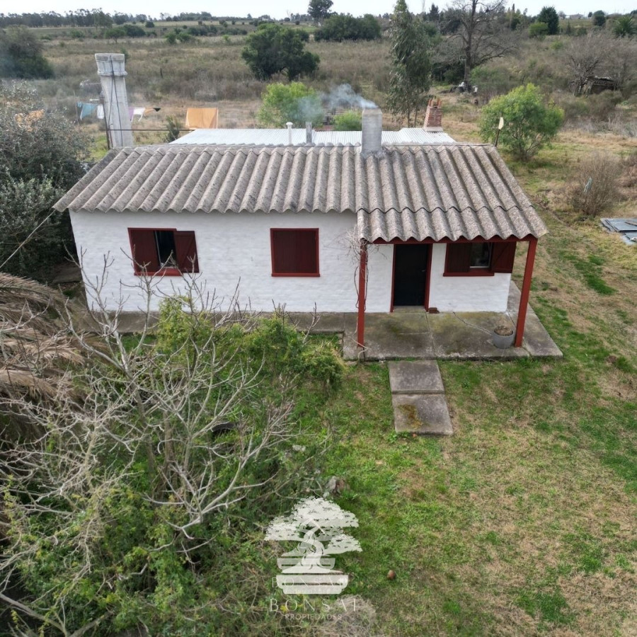 Chacra ID.193 - 