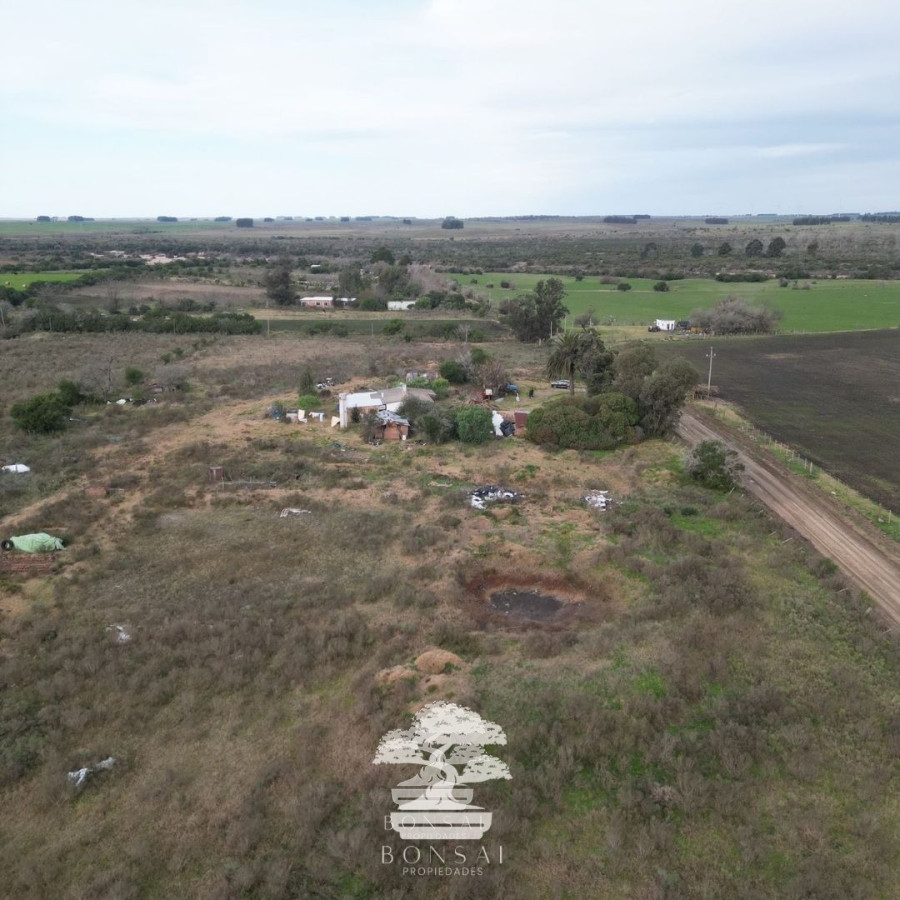 Chacra ID.193 - 