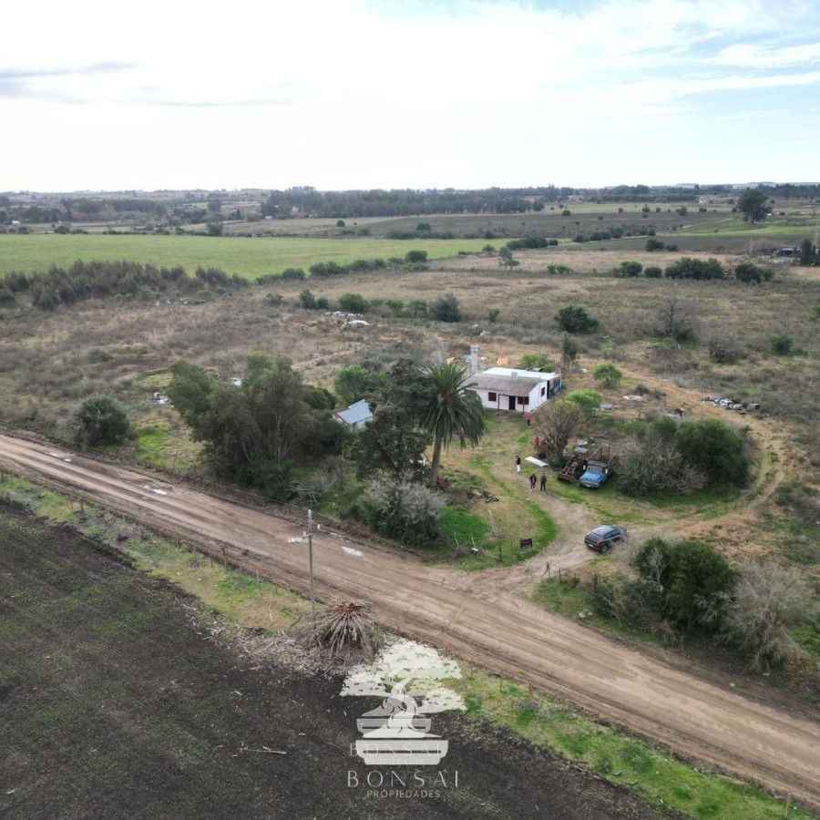 Chacra ID.193 - 