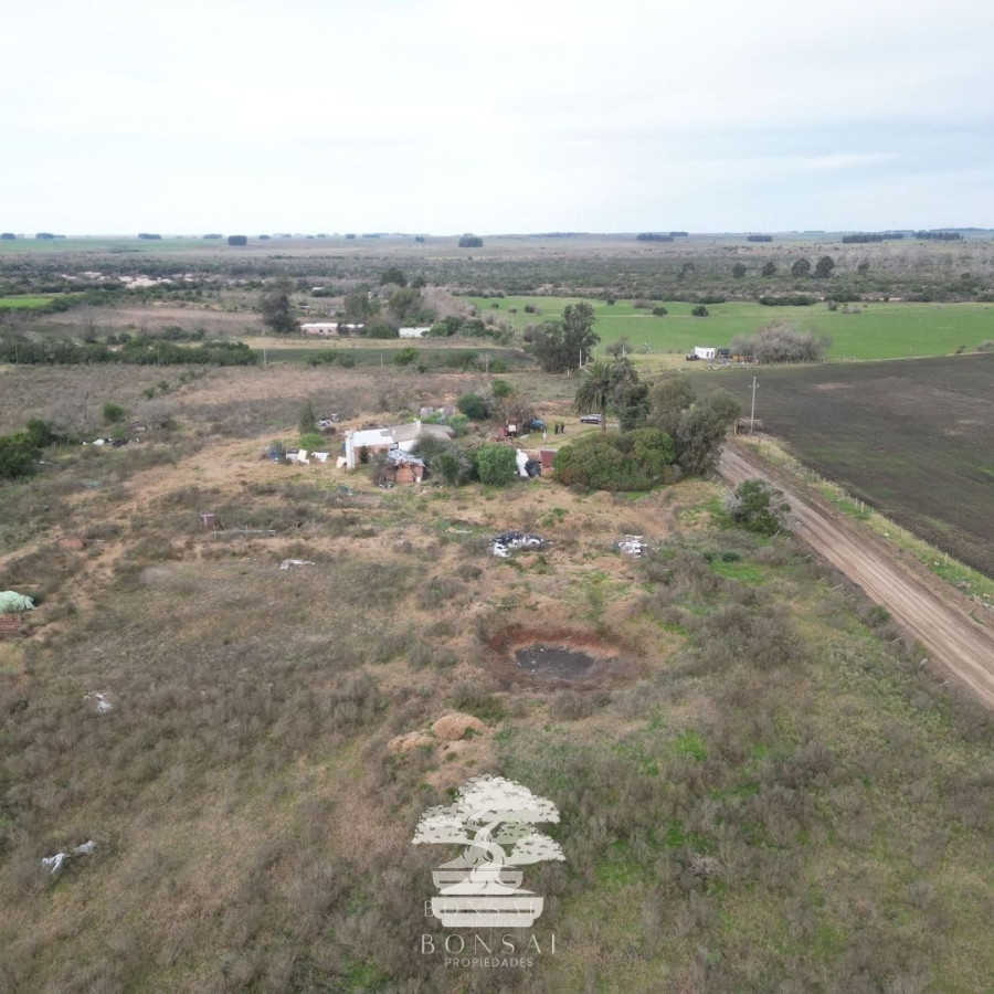 Chacra ID.193 - 