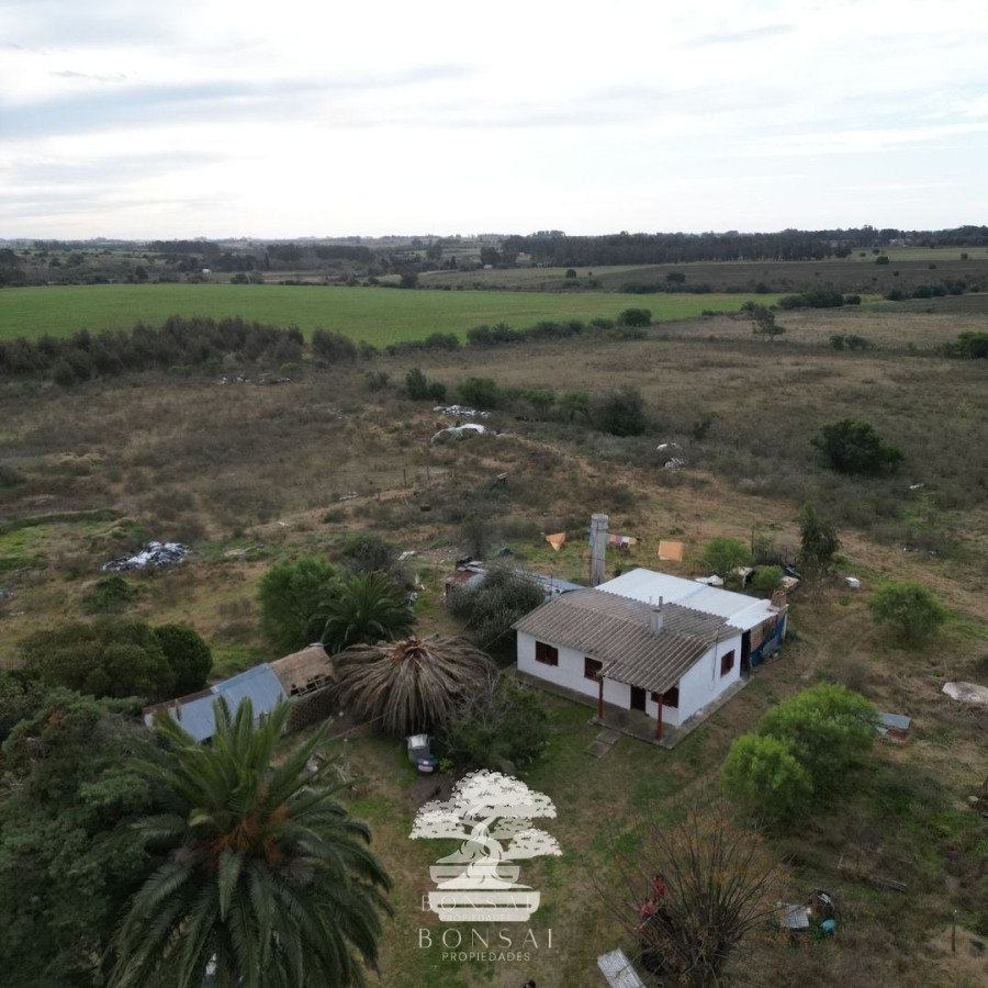 Chacra ID.193 - 