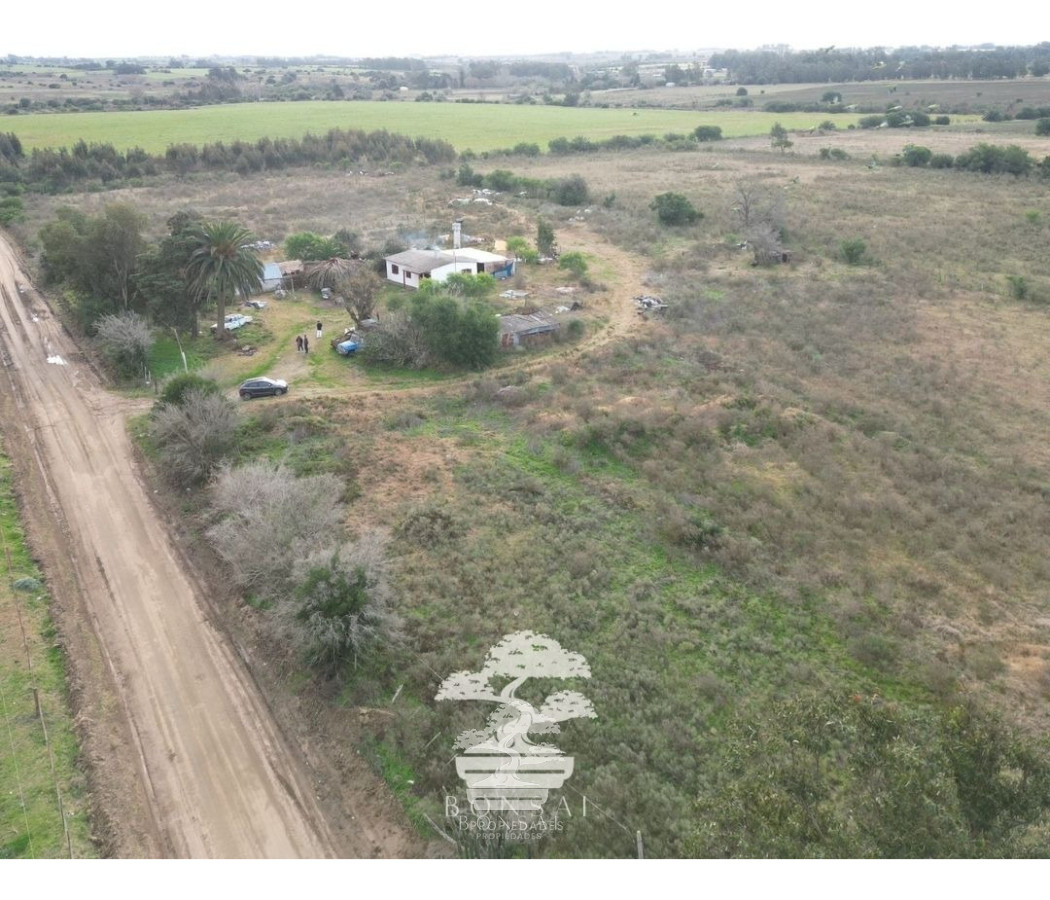 Chacra ID.193 - 