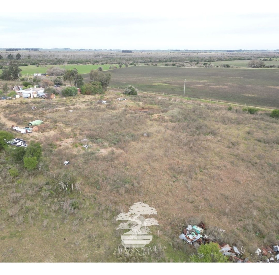 Chacra ID.193 - 