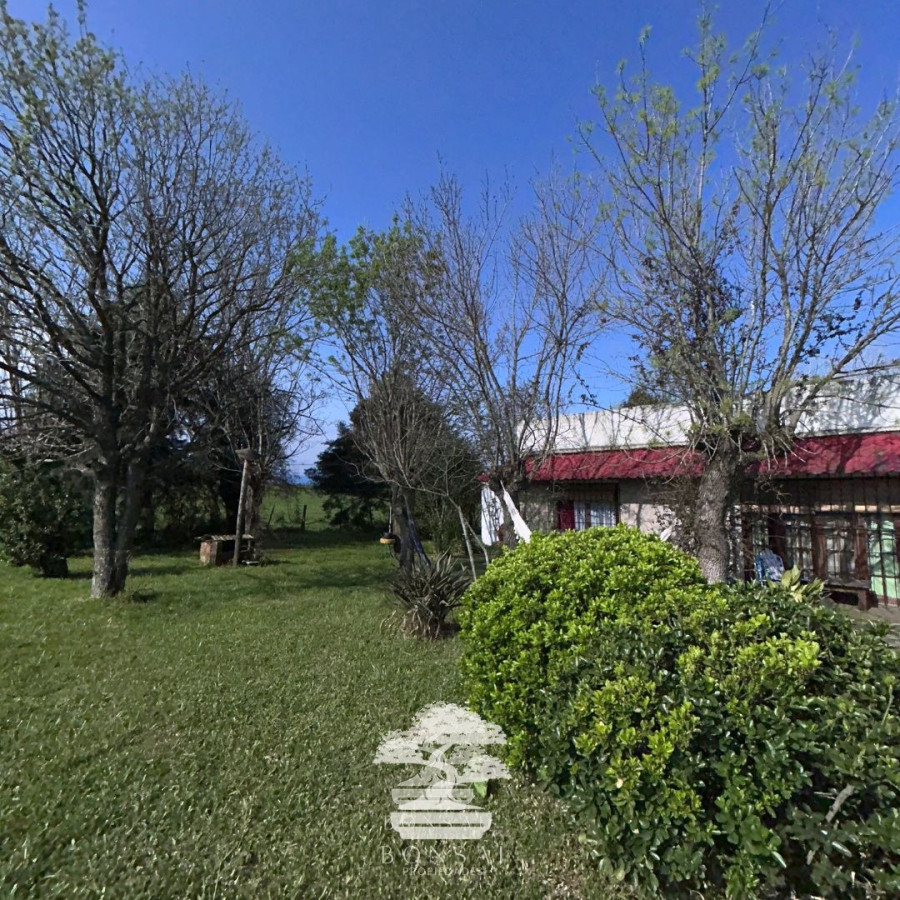 Chacra ID.194 - 