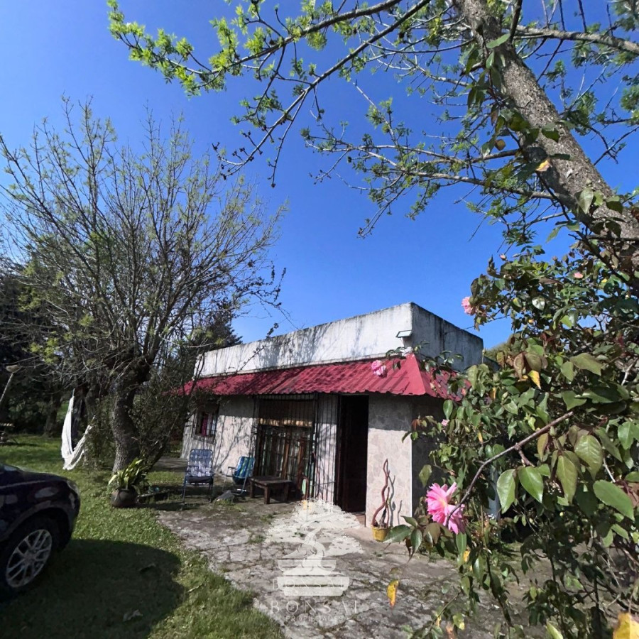 Chacra ID.194 - 