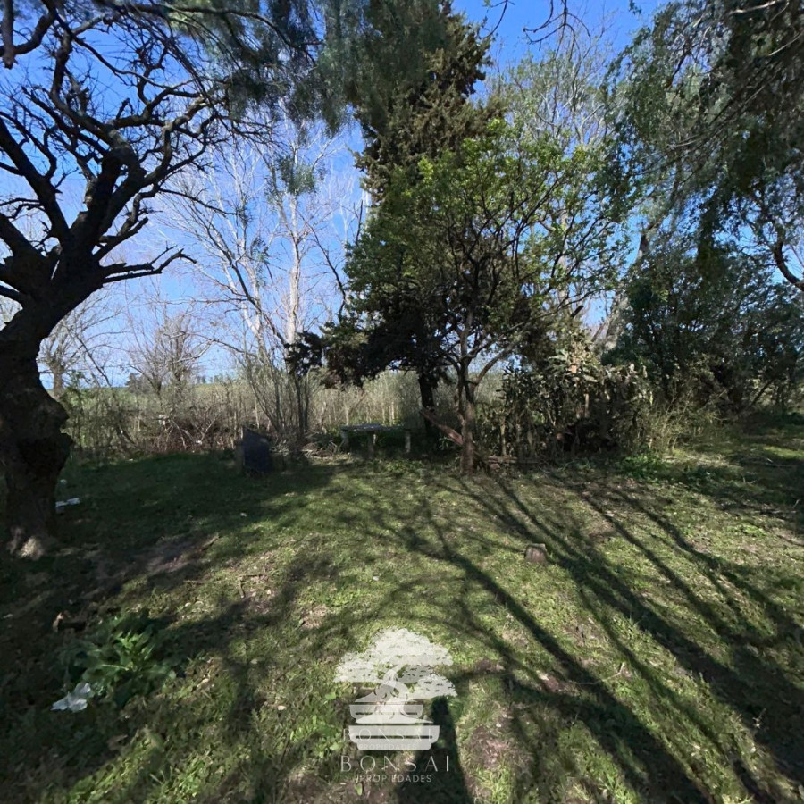 Chacra ID.194 - 