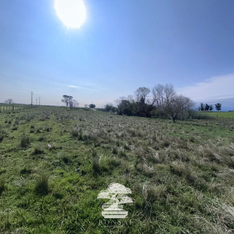 Chacra ID.194 - 