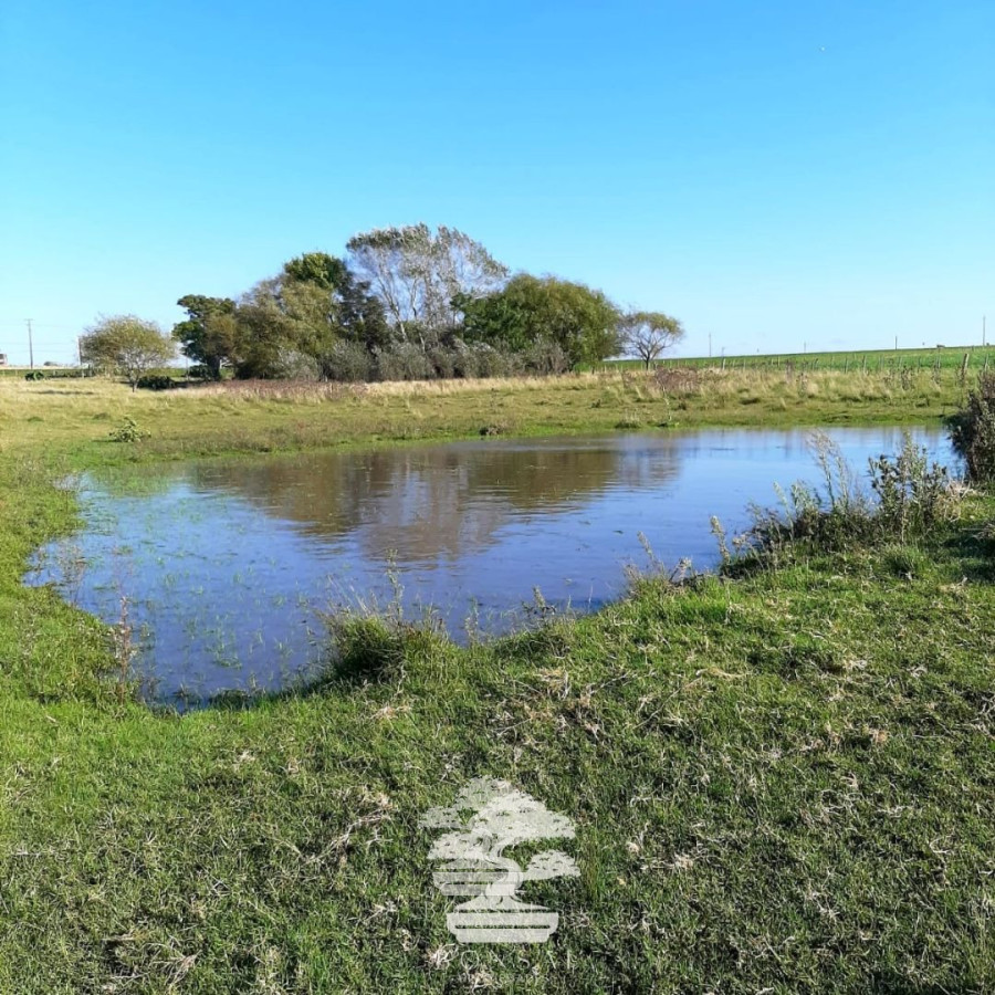 Chacra ID.194 - 