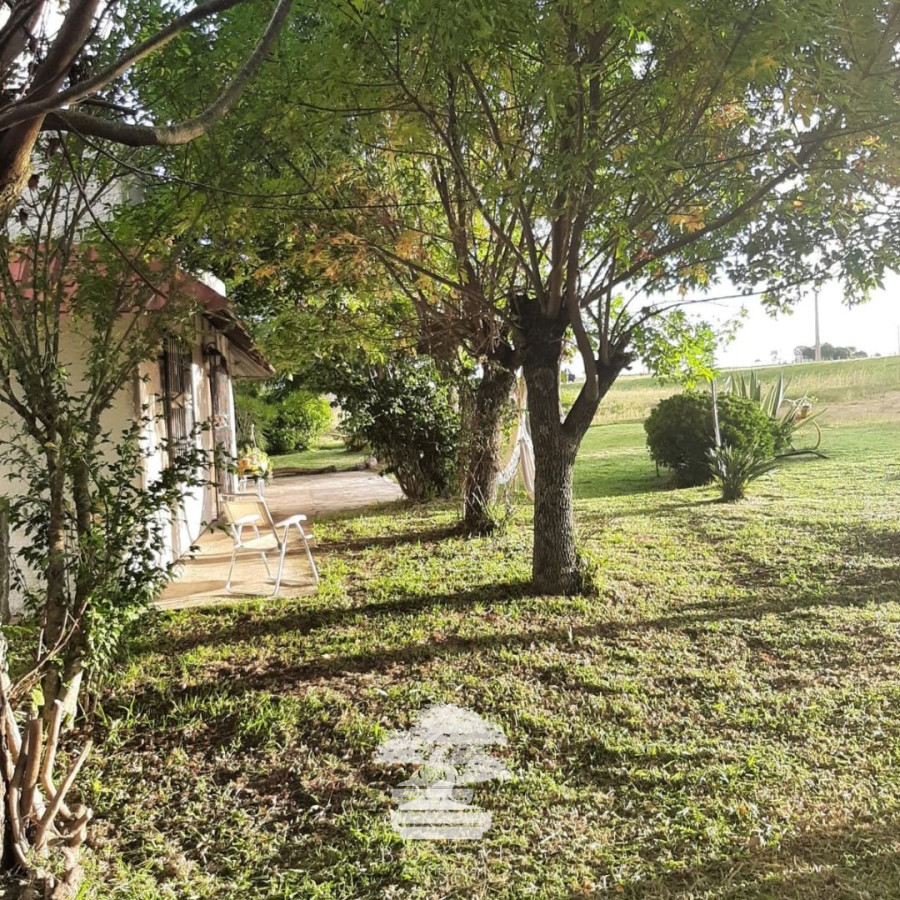 Chacra ID.194 - 