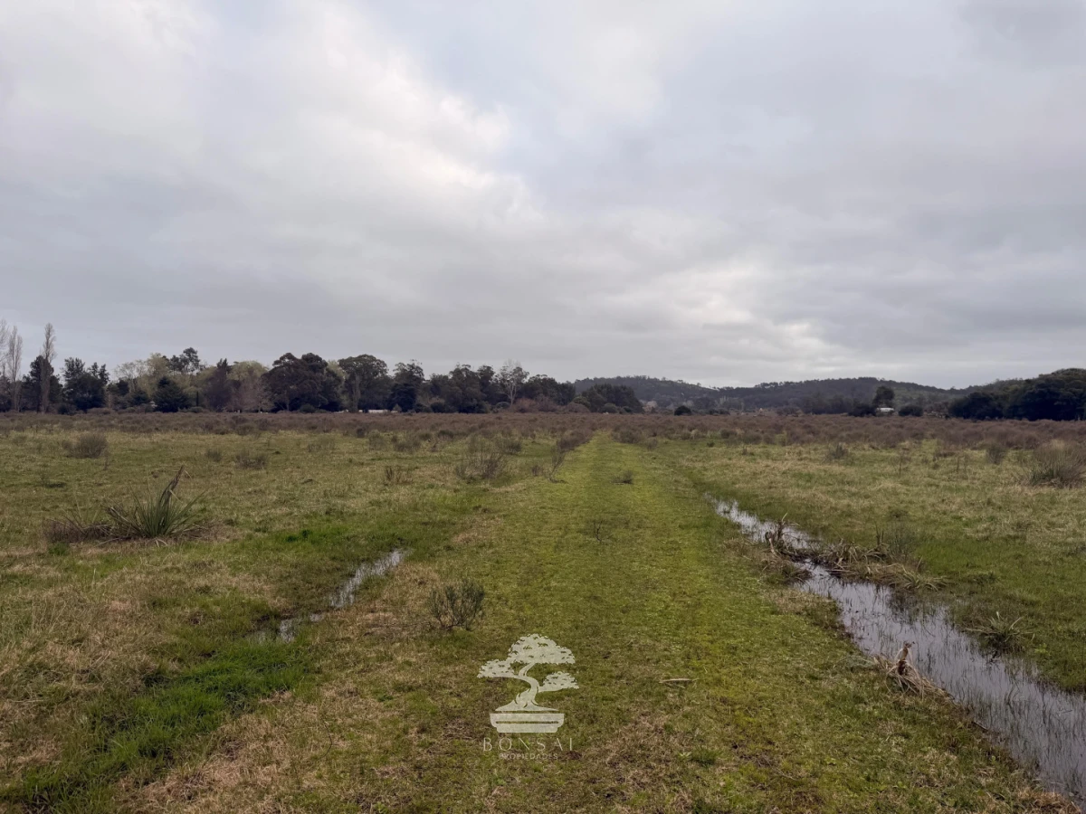 Chacra ID.1156 - Chacra de 16 Has en Venta en Maldonado