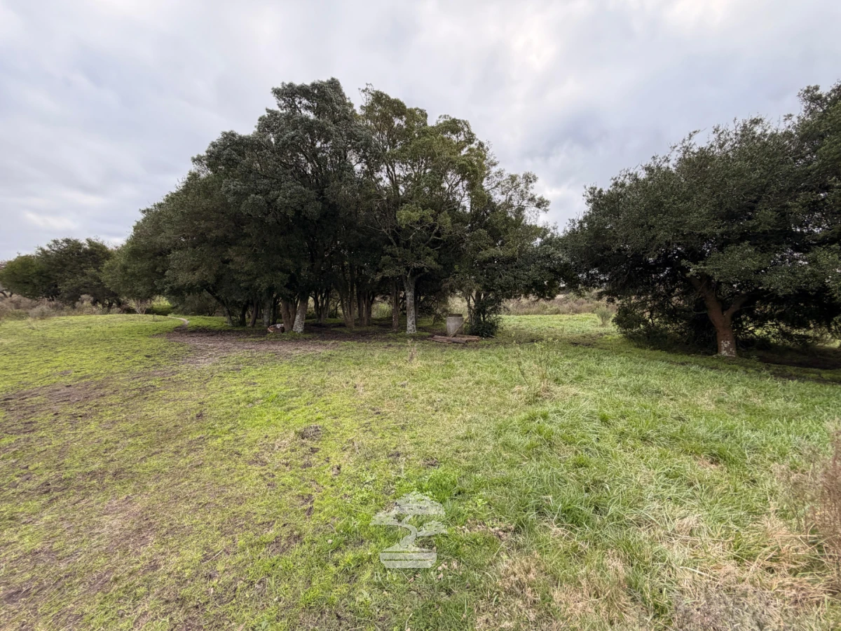 Chacra ID.1156 - Chacra de 16 Has en Venta en Maldonado