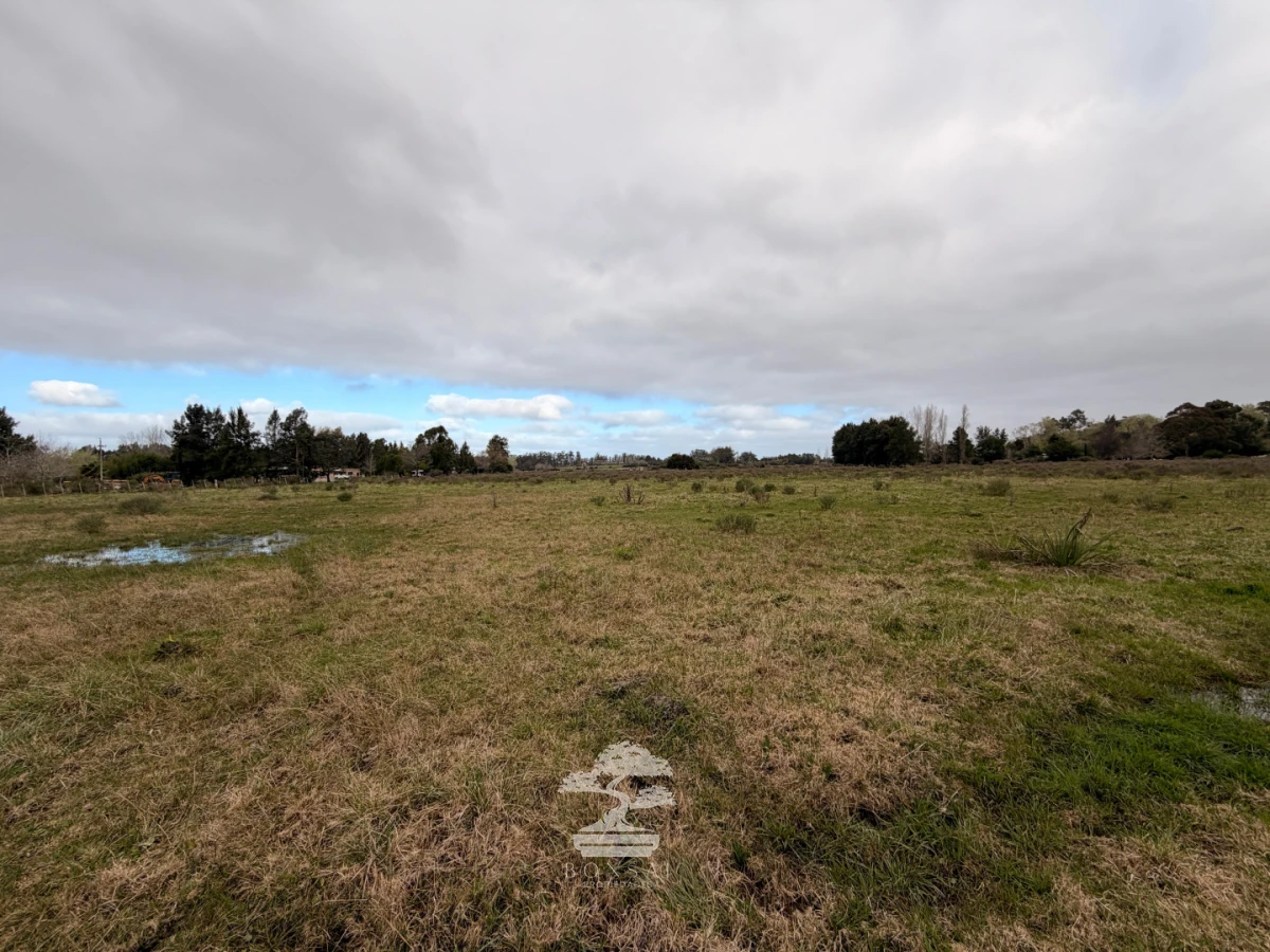 Chacra ID.1156 - Chacra de 16 Has en Venta en Maldonado