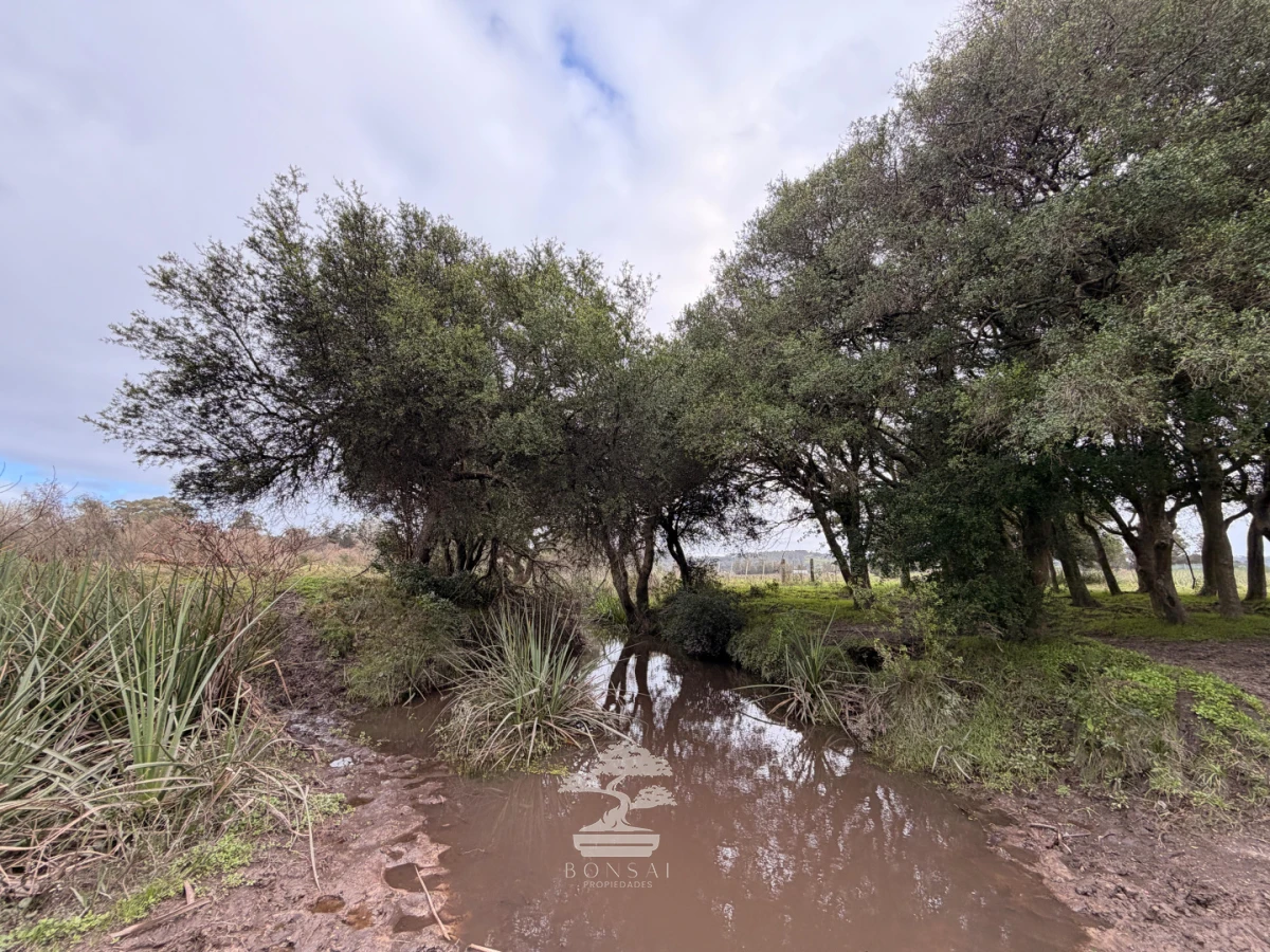Chacra ID.1156 - Chacra de 16 Has en Venta en Maldonado