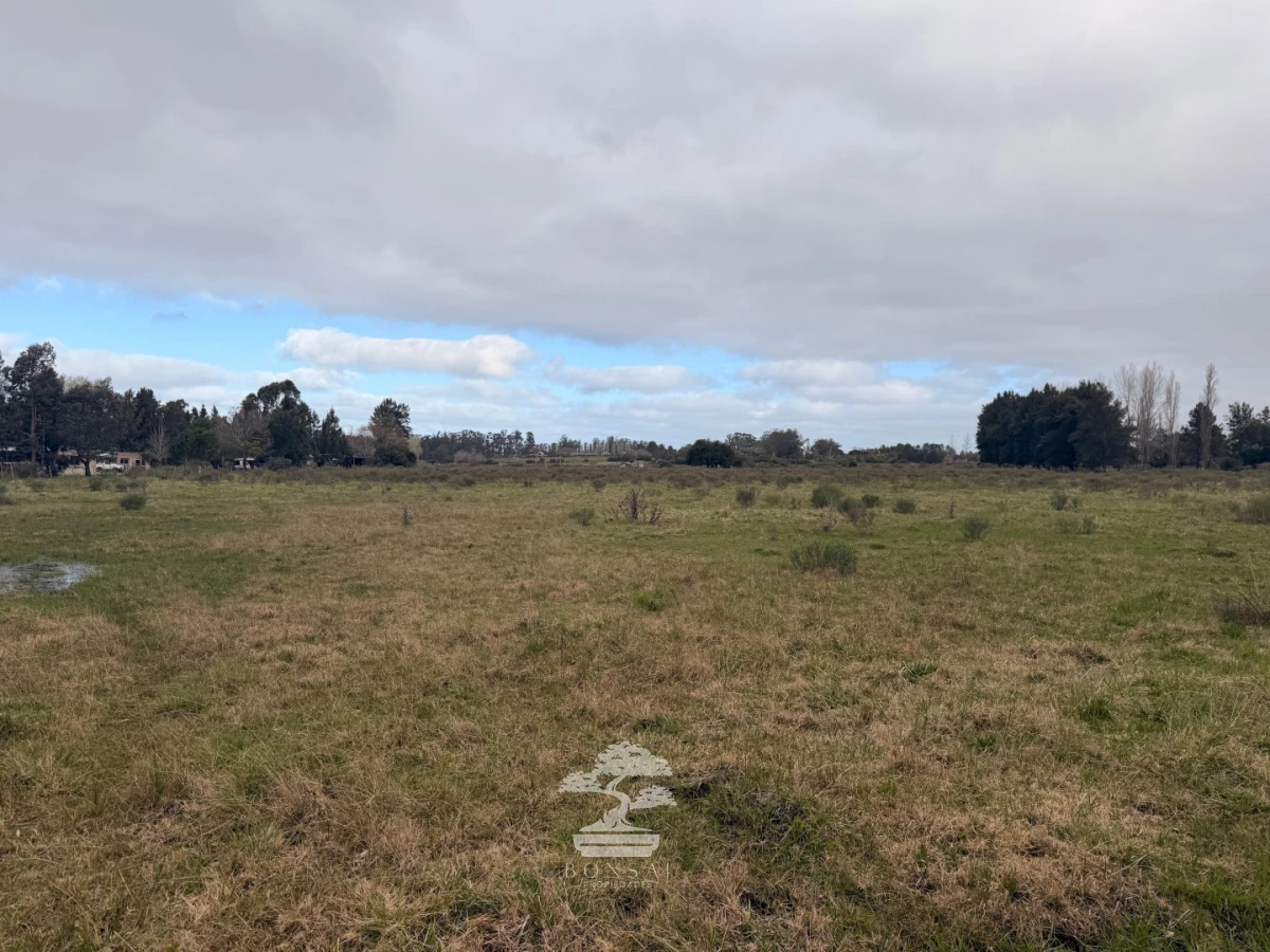 Chacra ID.1156 - Chacra de 16 Has en Venta en Maldonado