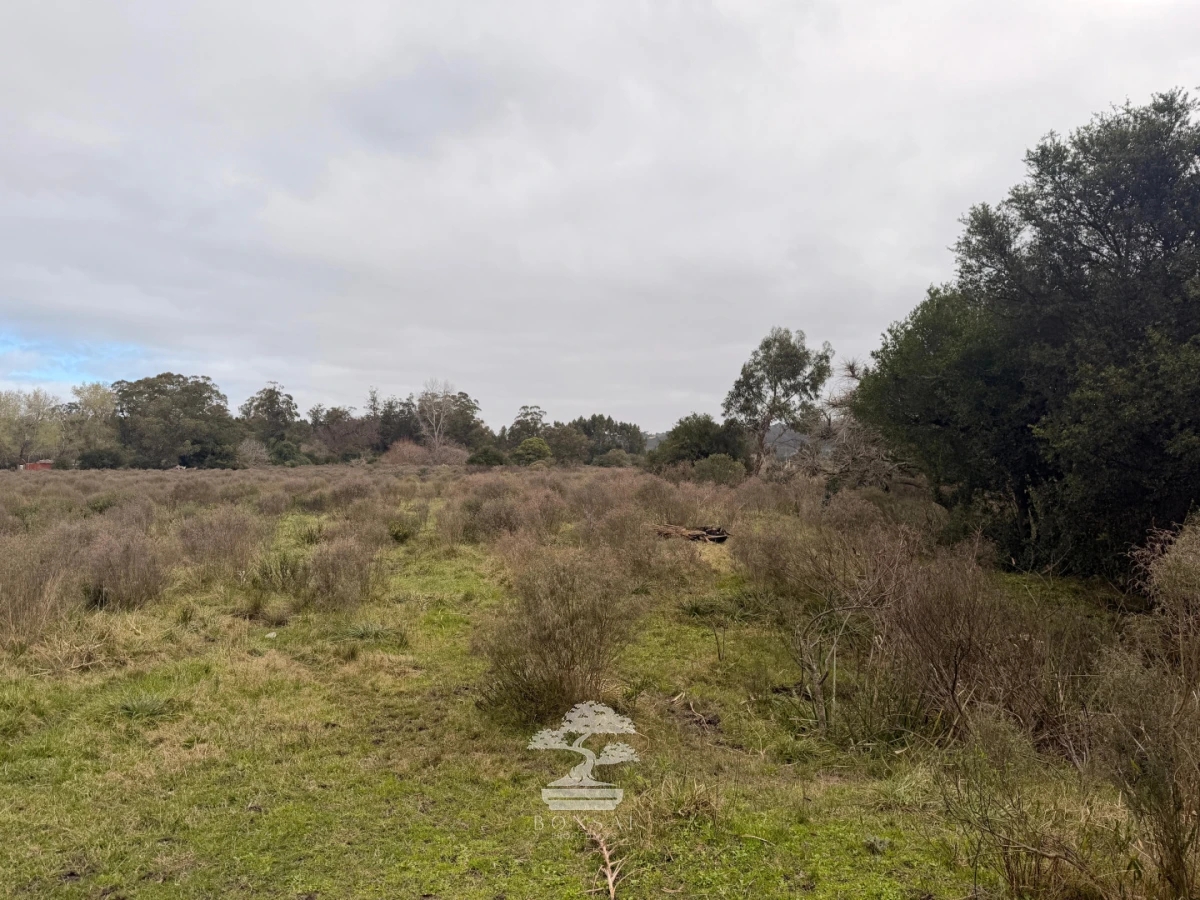 Chacra ID.1156 - Chacra de 16 Has en Venta en Maldonado