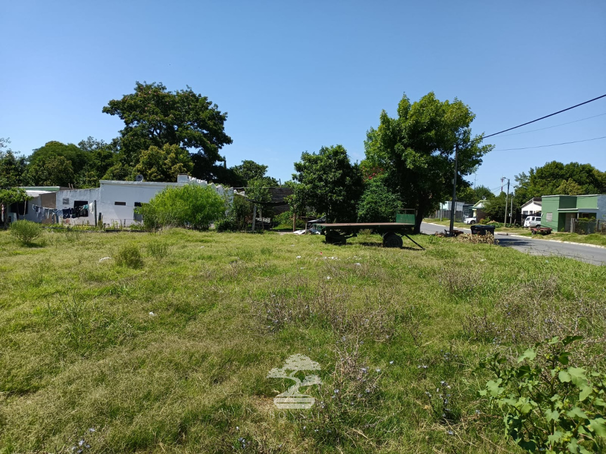 Terreno ID.442 - Venta Terreno Young 2272 m2 Rio Negro V