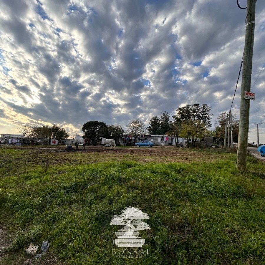 Terreno ID.124 - Venta Terrenos Florida Mp