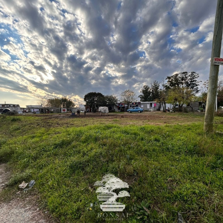 Terreno ID.124 - Venta Terrenos Florida Mp